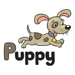 Little dog or puppy coloring book. Alphabet P