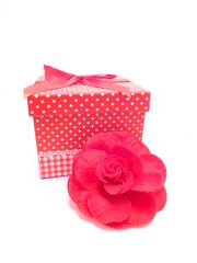 母の日の贈り物