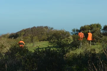 Fotobehang Jacht jour de chasse  © Image'in