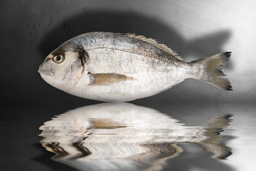 pesce in fondo nero riflesso in acqua