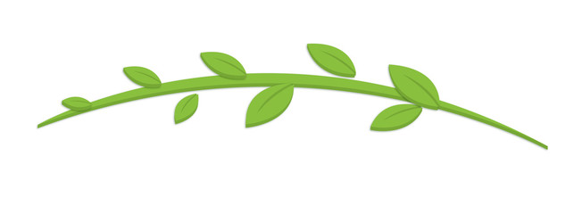 Nature Leaves Branch