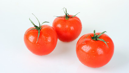 Fresh  tomatoes