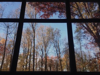 window view in the fall
