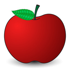 Fresh Red Apple