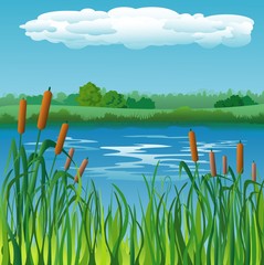 Landscape with reeds
