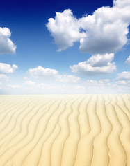 Naklejka premium Sand dunest in the Sahara Desert