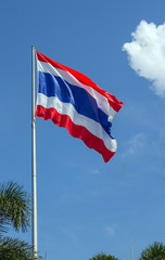 Thailand Flag with blue sky and tree
