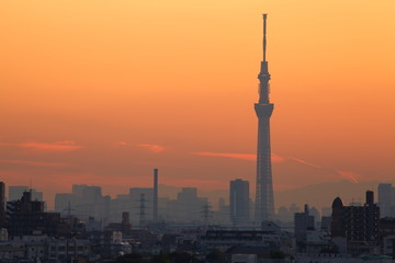 Fototapeta na wymiar View of Tokyo city and sunset sky in autumn season