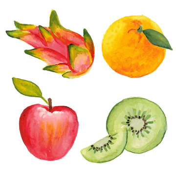 Apple, qiwi, orange and dragon fruit. Hand drawn