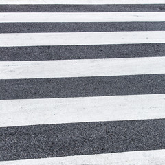 Fototapeta premium Zebra line