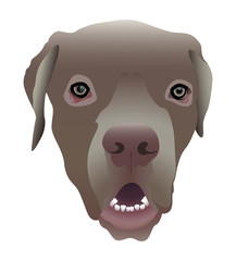 Dog Face Vector