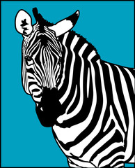 Zebra Animal Vector