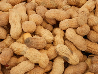 Kabuklu Fıstık(Yer Fıstığı)