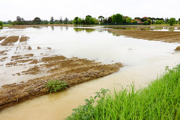 Flooded fields