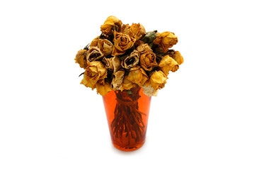 orange Vase mit Trockenblumen