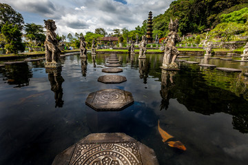 Aquatic pathway © gil7416