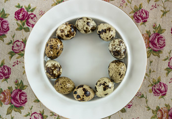 Obraz na płótnie Canvas Quail eggs on dish
