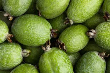 feijoa