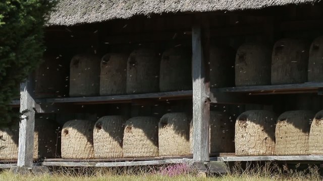 Traditionelle Bienenk&ouml;rbe in der L&uuml;neburger Heide