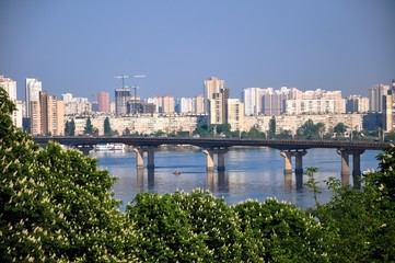 Fototapeta na wymiar chestnut in Kyiv. backgroud of city. 