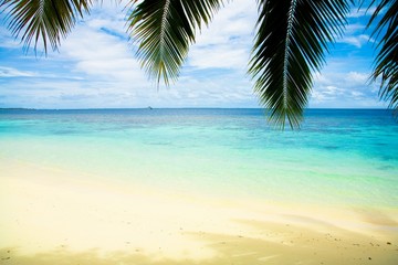 Obraz na płótnie Canvas Beach Under Palms
