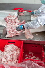 pork processing meat food industry