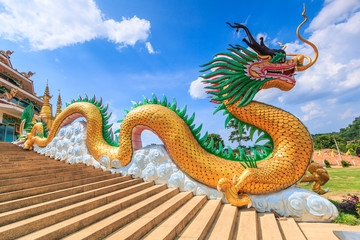 Giant chinese dragon on the roof
