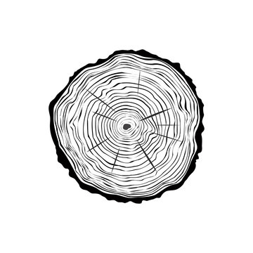 Simple vector tree trunk in a cut.