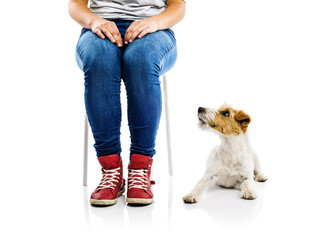 Cute dog with his owner