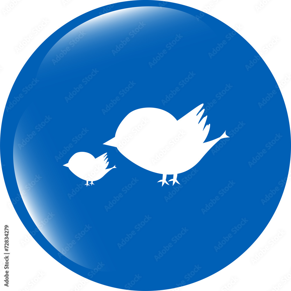 Poster glossy isolated website and internet web icon with bird