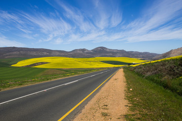 Fototapeta na wymiar South african landscape