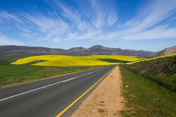 Fotobehang Zuid-Afrikaans landschap © elleonzebon