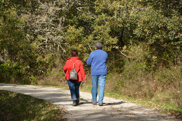 pareja caminando por el bosque