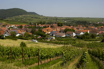 Birkweiler an der Weinstraße