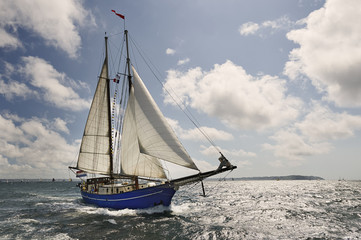 Yacht Sailing. Collection of ships and yachts