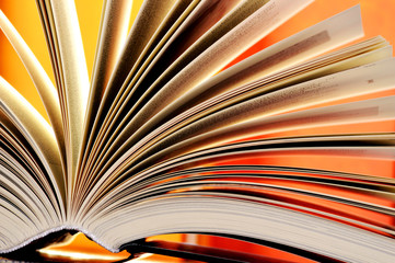 Composition with hardcover books in the library