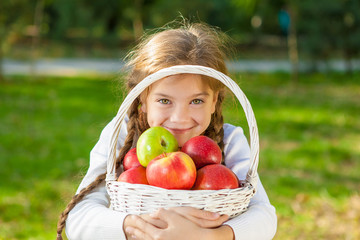 Little girl holding a basket of apples