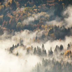 Widok mgliste mgieł góry w jesieni - 72842630