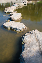 Stone path in a water garden