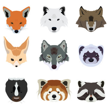 Set of Wolf Fox and Wildlife Animals Vector and Ico