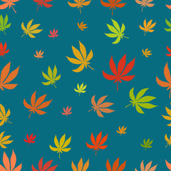 Seamless pattern of leaf marijuana different colors on a blue