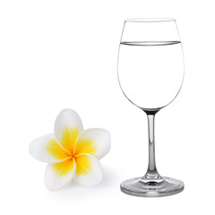 Glass of water and Tropical flowers frangipani (plumeria)