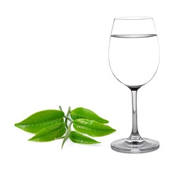 Glass of water and tea leaves isolated on white background