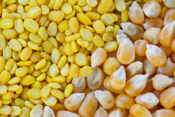 closeup of sweetcorn seeds and split yellow mung beans
