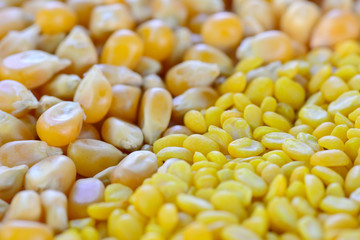 closeup of  split yellow mung beans and sweetcorn seeds