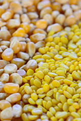 closeup of  split yellow mung beans and sweetcorn seeds