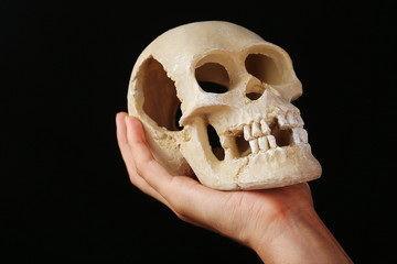 Obraz premium Human skull in hand on dark background