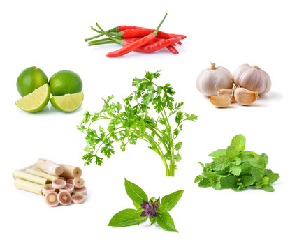 vegetable, herb, spices isolated on white background