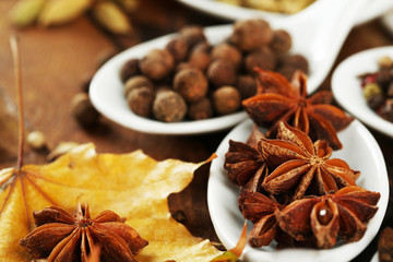 Different spices in spoons with yellow leaves