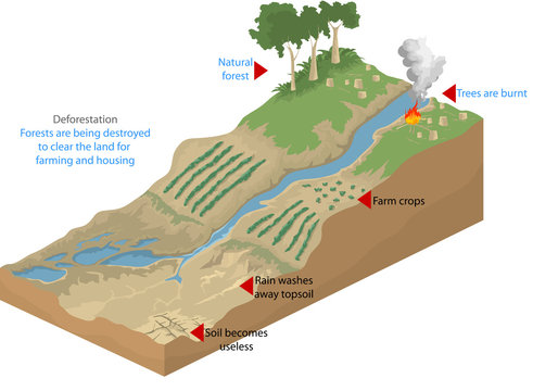 Deforestation,geological Nature Vector Background